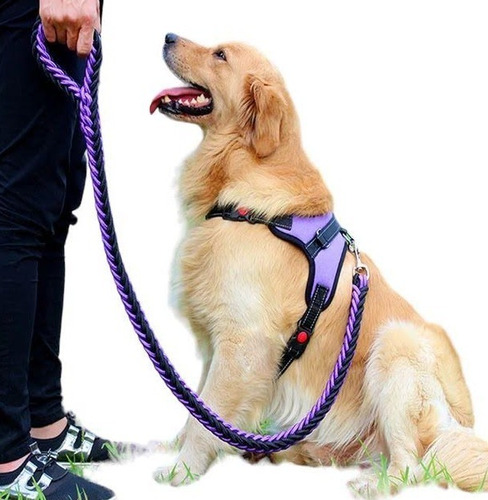 Imagen 7 de 10 de Arnes Pechera Acolchada Con Trailla- Correa Para Perros