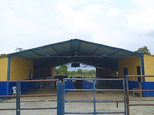 Vendo Hermosa Hacienda Ubicada En San Felipe Edo. Yaracuy Yb