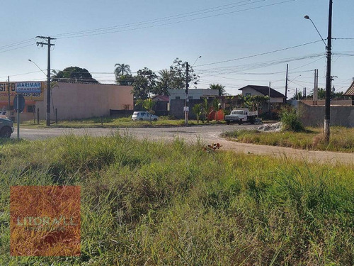 Imagem 8 de 9 de Terreno À Venda, 498 M² Por R$ 250.000,00 - Grandesp - Itanhaém/sp - Te0382