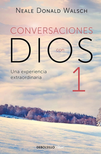Conversaciones Con Dios 1, Una Experiencia Extraordinaria - 