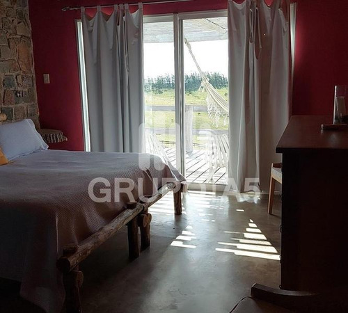 Imagen 19 de 28 de Vende Chacra De 10 Hectáreas Con Una Casa De 500 M2 - Penitente - Minas