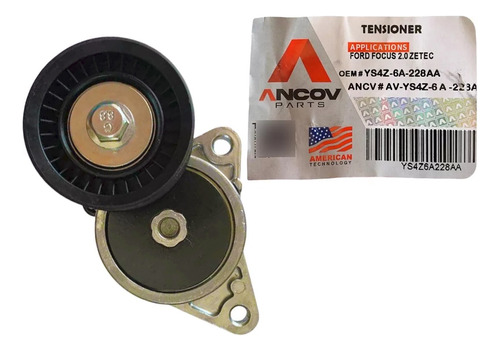 Tensor Focus Zetec Correa Unica Ford