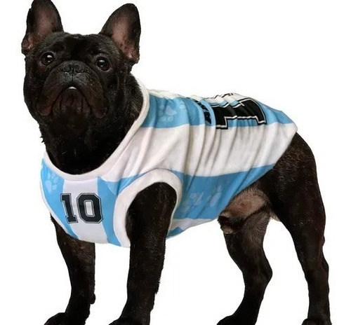 Imagen 5 de 6 de Camiseta De Argentina Perro Futbol Mundial K9 Talles Grandes