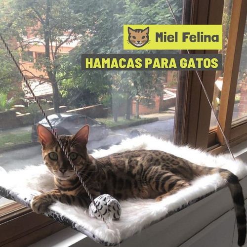 Hamacas De Ventana Para Gatos. Tela De Peluche - Miel Felina