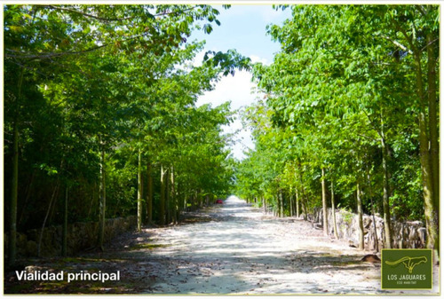 Terreno De 2,000 M2 Con Título En Los Jaguares, Ruta De Los Cenotes Puerto Morelos