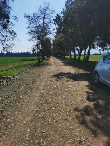 Hermosa Parcela En Teno Rebajada