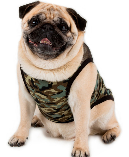 Remeras Y Musculosas Livianas Para Perros O Gatos Summer