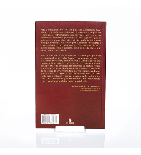 Livro Encontro Com A Daseinsanalyse: A Obra De Ser E Tempo