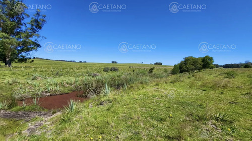 Venta Chacra Jose Ignacio Con Costa Arroyo Anastasio