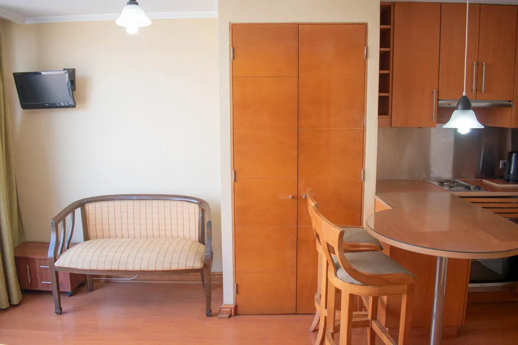 Imagen 5 de 29 de Arriendo Departamento Amoblado Studio - Antonio Bellet (625)