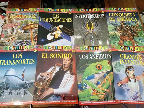 Guia Tematica Escolar Genios Son 20 Fasciculos Mas Caja (Usado)