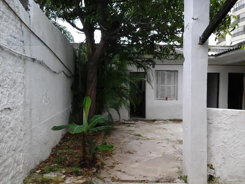 Comercial Para Venda, 0 Dormitórios, Bosque Da Saúde - São Paulo - 12272
