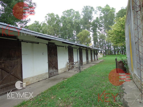 Campo - Estancia - Haras- Bragado - Agricola - Ganadero