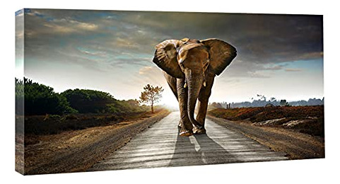 Wieco Art Elephant Canvas Impresoras Arte De Pared By0wh