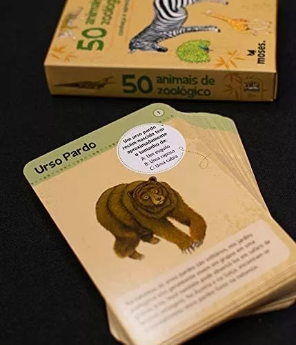 Jogo de Cartas – 50 Bichos de Estimação – Galápagos - RioMar Recife Online