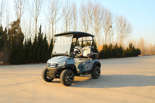 Carro De Golf 0km