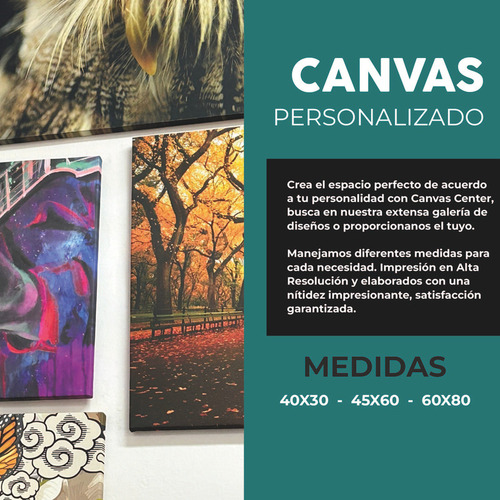 Cuadro Lienzo Canvas Monumento Revolucion Dibujo Sala 50*60c