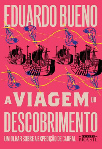 A Viagem Do Descobrimento (coleção Brasilis - Livro 1) - V