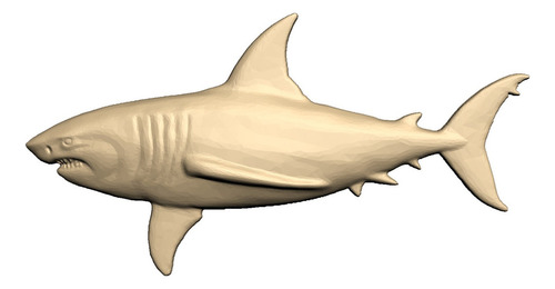 Tiburón