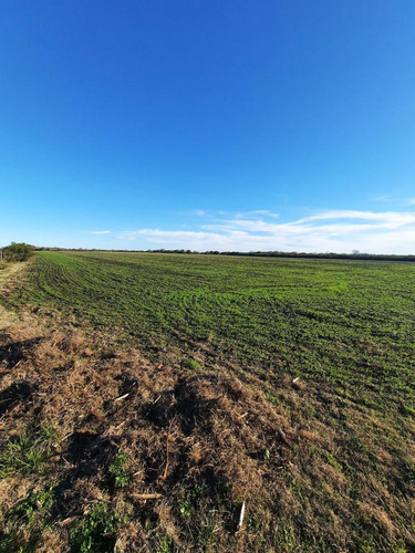 Campo - Costa Del Uruguay