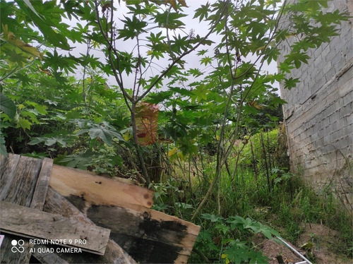 Imagem 6 de 15 de Terreno - Chora Menino - Ref: 13912 - V-13912