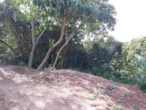 Imagem 9 de 12 de Terreno À Venda, 832 M² Por R$ 110.000,00 - San Fernando Park - Cotia/sp - Te0605