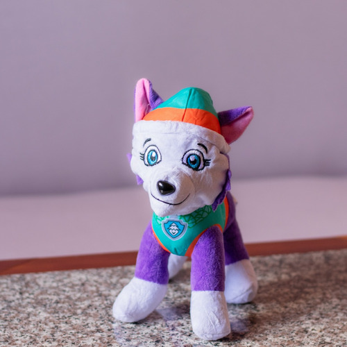 Peluche Paw Patrol Patrulla Canina 20 Cm Bazar Don Acuña