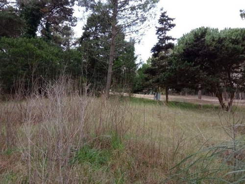 Imagen 4 de 4 de Lote | Av. Divisadero