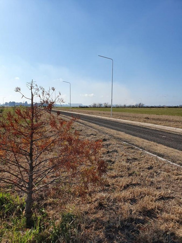 Imagen 1 de 5 de Terreno A La Venta En Ricardone Estancia Las Moras