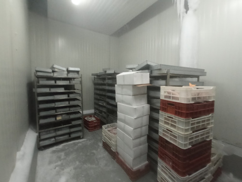 Imagen 30 de 30 de Planta De Alimentos Congelados -ym/ws-