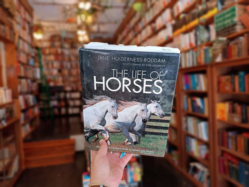 The Life Of Horses. Jane Holderness - Roddam. (Usado)