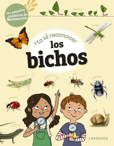Yo Se Reconocer Los Bichos, De Lebrun, Sandra. Editorial Larousse, Tapa Blanda En Español