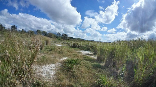Imagen 17 de 30 de &&& Finca En Venta En Nirgua Yaracuy Rah 23-17575 // Invierta Seguro Con Rentahouse//