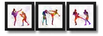 Comprar Set 3 Cuadros Artes Marciales Pop Art Mma Lucha Gym 33x33cm Marco Negro