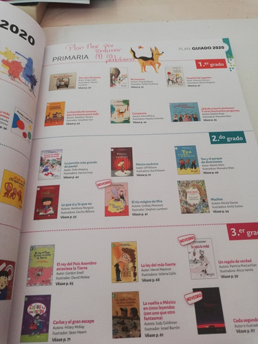 Literatura Infantil Y Juvenil 2020 Castillo (Usado)