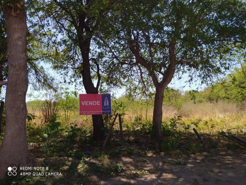 Imagen 9 de 14 de Terrenos En Venta En San Luis