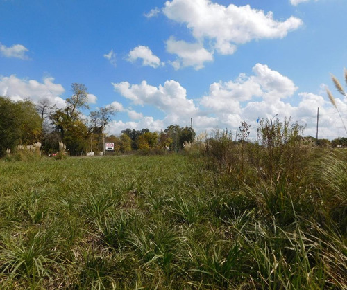 Imagen 7 de 12 de Venta - Lote 1766m2 - Sobre Colectora Ruta 8 El Remanso - Exaltacion De La Cruz