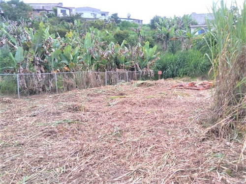 Imagen 7 de 10 de Terreno Polonias Nuevas
