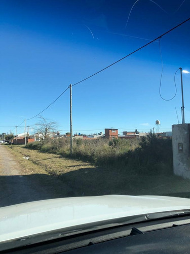 Imagen 3 de 5 de Terreno - Los Hornos - 300 M2