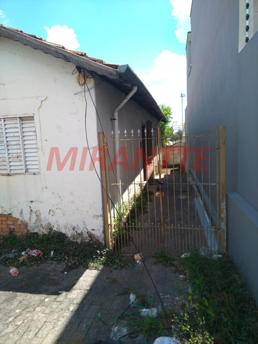 Imagem 5 de 7 de Terreno Em Vila Constança - São Paulo, Sp - 366524