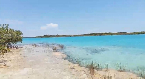 Terreno Turístico En Venta En Othón P. Blanco Quintana Roo