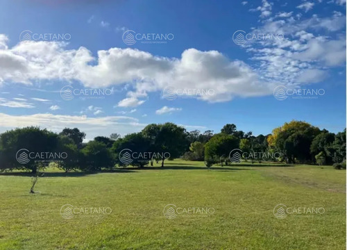 Venta Terreno Apto Desarrollo En Piedras Del Chileno. Punta Del Este.