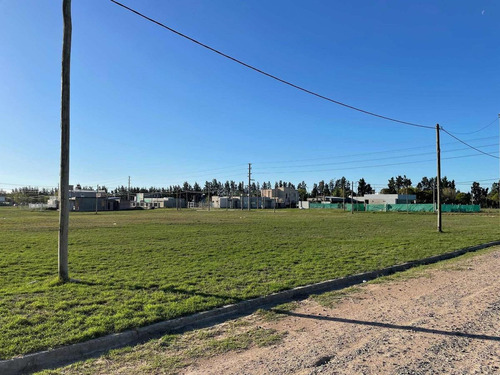 Imagen 1 de 6 de Terreno En Venta - 600mts2 - Gorina