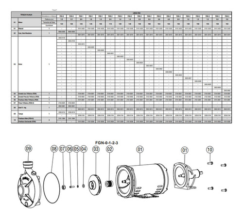 Bomba Centrifuga Famac Fgn-2 4cv 220/380v Mono Motor Weg