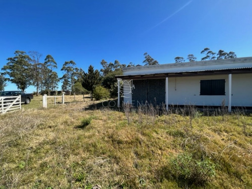 Imagen 17 de 30 de Campo 10 Has Y Media Con Casa Y Manantial Con Agua Permante. Consulte!!!!!!!!! - Zona Rural Zona Rural