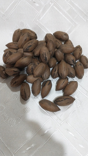 Nuez Pecan 2023..... Super Ofertaaaa! 50 Kg 45.000$$$