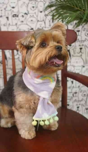 Roupa Pet - Cachecol Soft P Roupinha Pra Cachorro E Gato