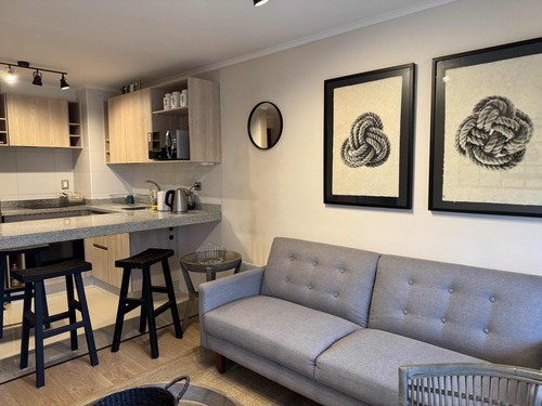 Hermoso Departamento De Un Dormitorio En Villarrica