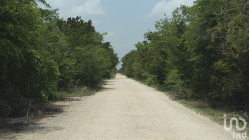 Venta Terreno 0 Ambiente Ciénega 2000