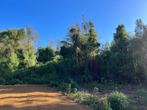 Loteo Don Jaime / Región De Los Lagos (67191)